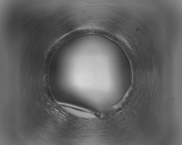 X0000076060872200610061533