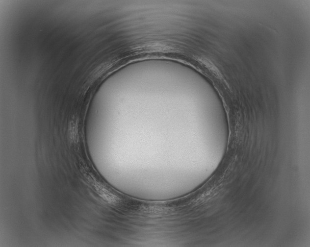 X0000076060873200610061533