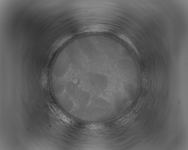 X0000076060874200610061533