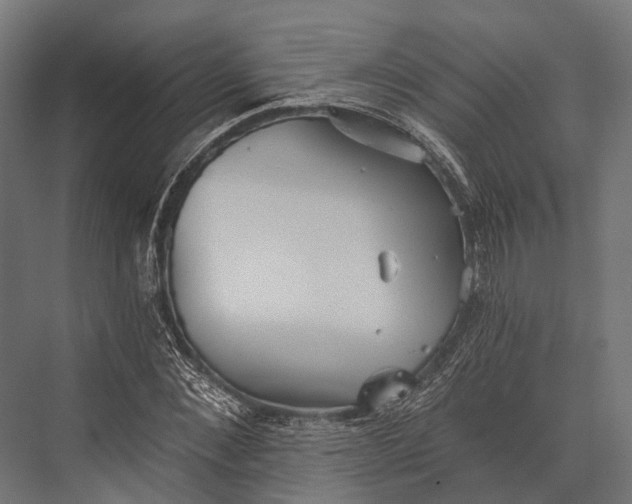 X0000076060876200610061533