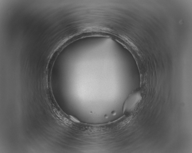 X0000076060877200610061533