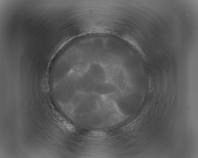 X0000076060878200610061533