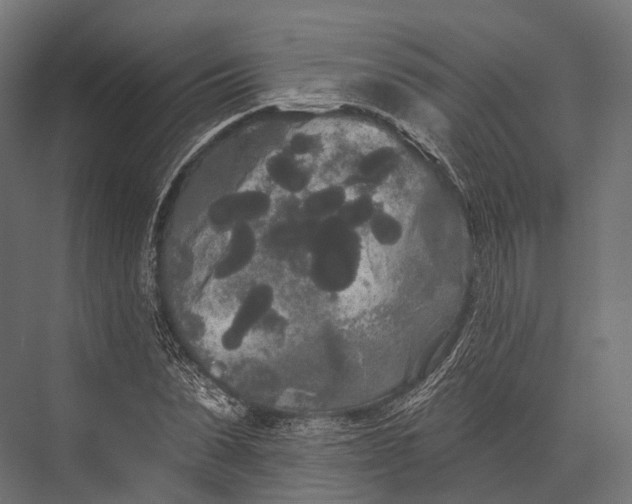 X0000076060879200610061533