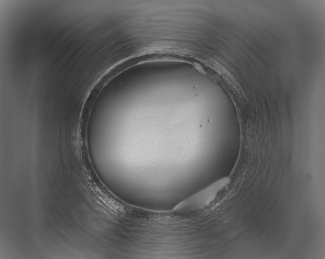 X0000076060880200610061533