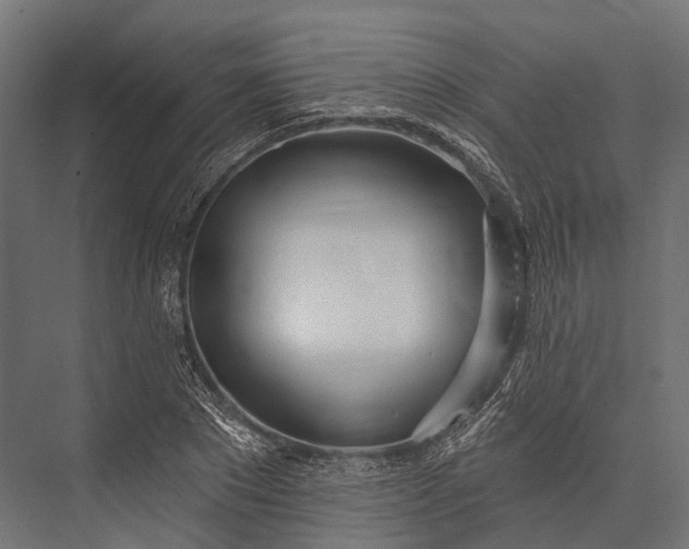 X0000076060881200610061533