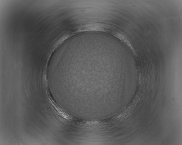 X0000076060882200610061533