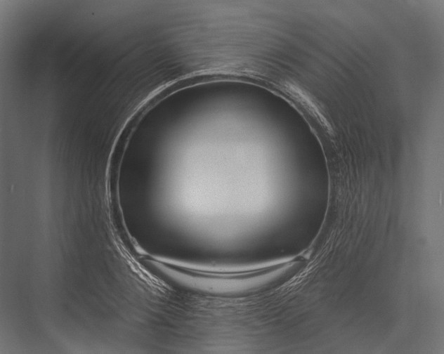 X0000076060884200610061533