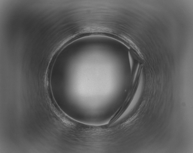 X0000076060885200610061533