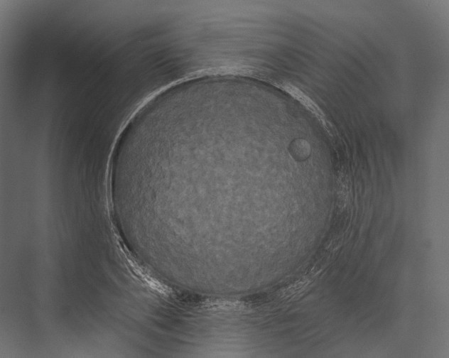 X0000076060886200610061533