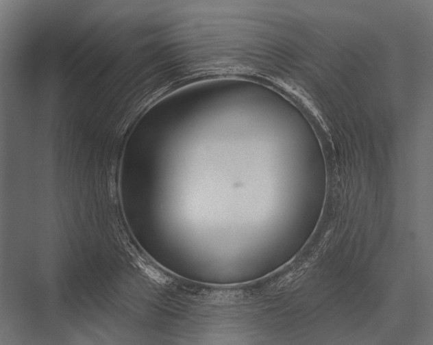 X0000076060889200610061533