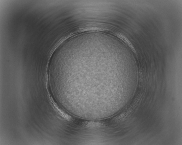 X0000076060890200610061533