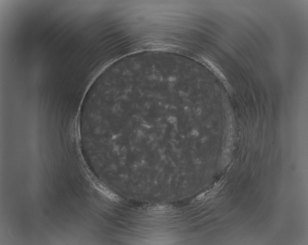 X0000076060891200610061533