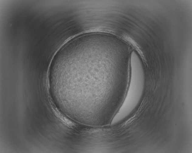 X0000076060892200610061533