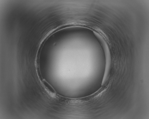 X0000076060893200610061533