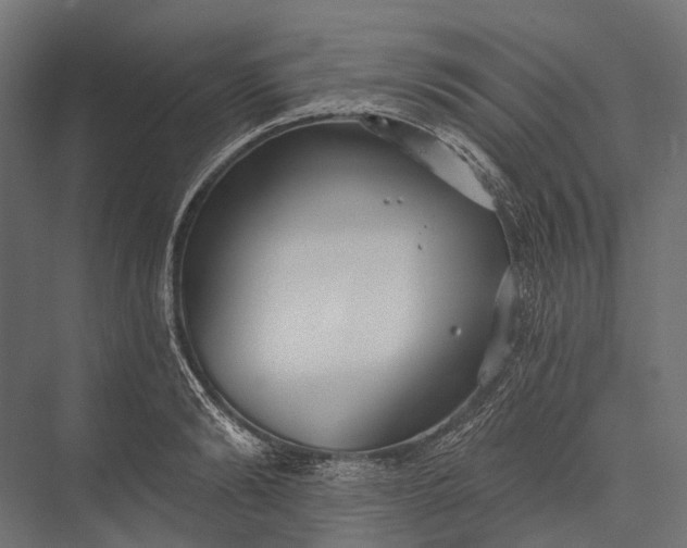 X0000076060894200610061533