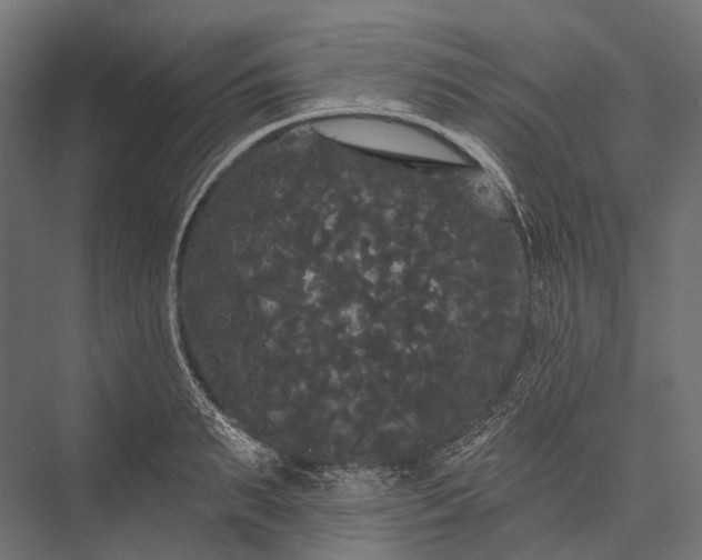 X0000076060895200610061533