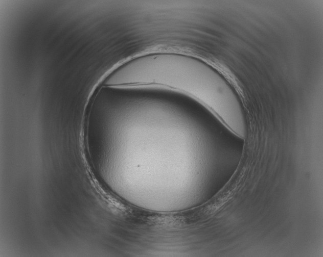 X0000076060896200610061533