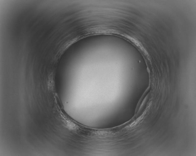 X0000076060897200610061533