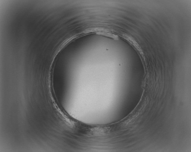 X0000076060898200610061533