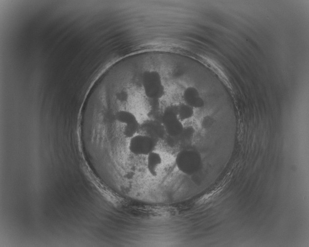 X0000076060899200610061533