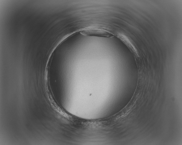 X0000076060900200610061533