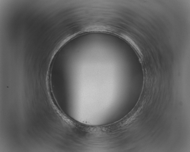 X0000076060901200610061533