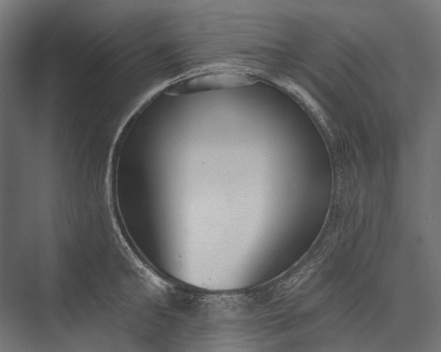 X0000076060902200610061533