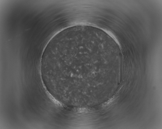 X0000076060903200610061533