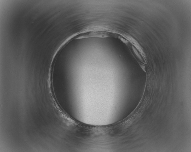 X0000076060904200610061533