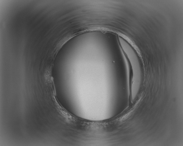 X0000076060905200610061533