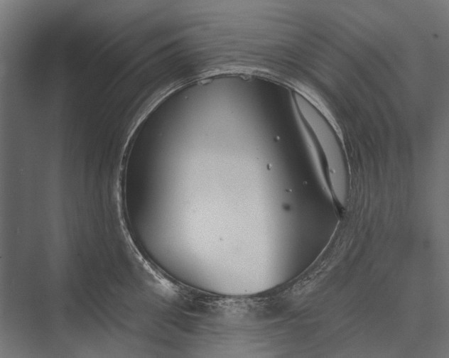 X0000076060906200610061533