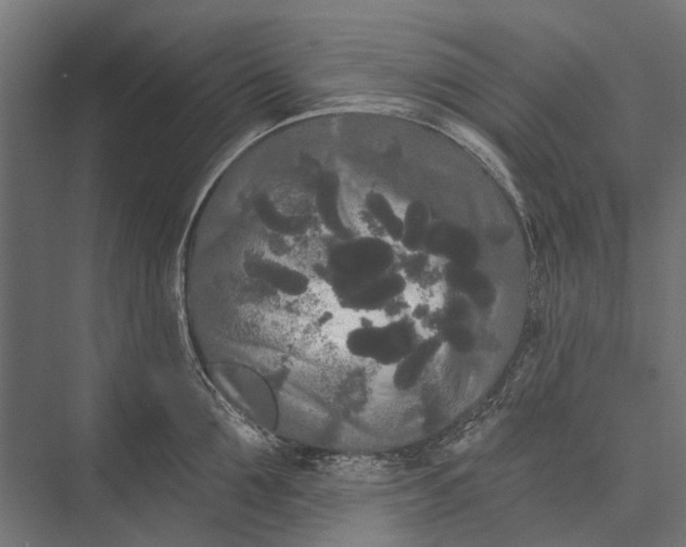 X0000076060907200610061533