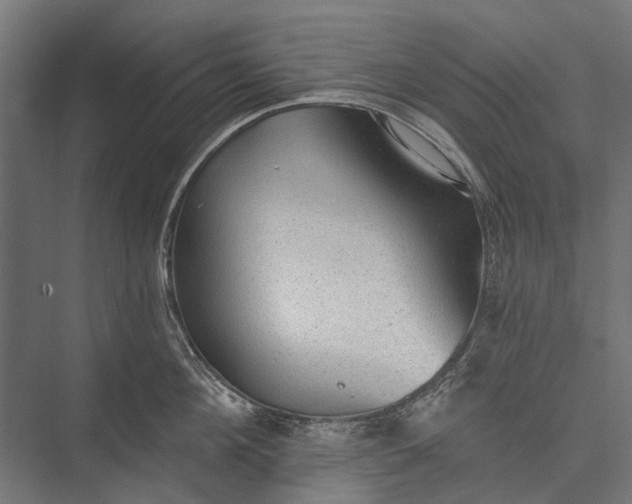 X0000076060908200610061533