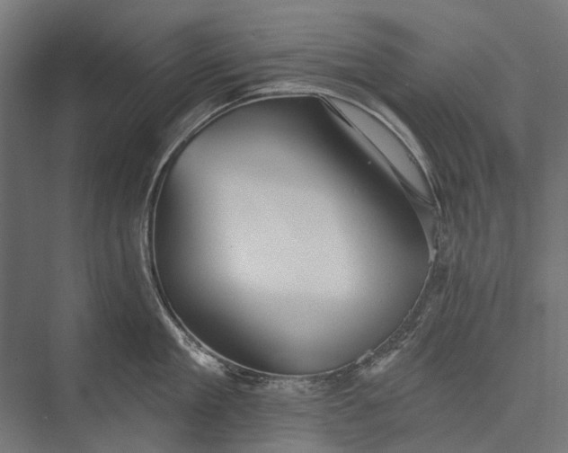 X0000076060909200610061533