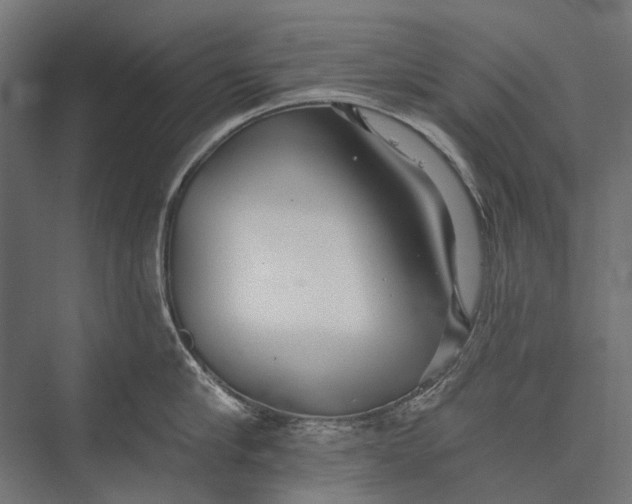 X0000076060910200610061533