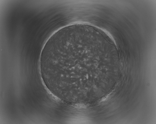 X0000076060911200610061533