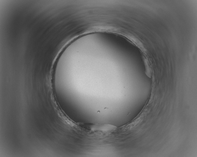 X0000076060912200610061533