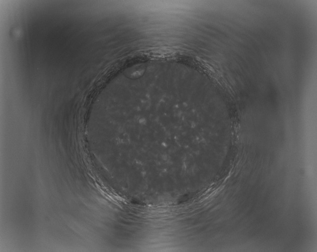 X0000076060913200610061532