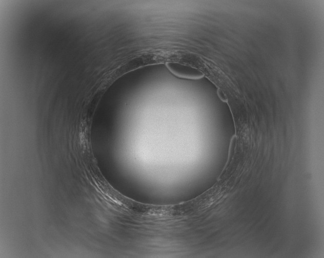 X0000076060914200610061532