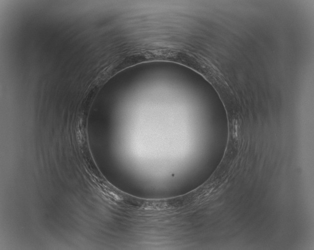 X0000076060915200610061532