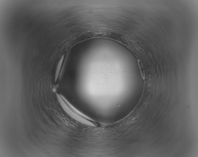 X0000076060916200610061532