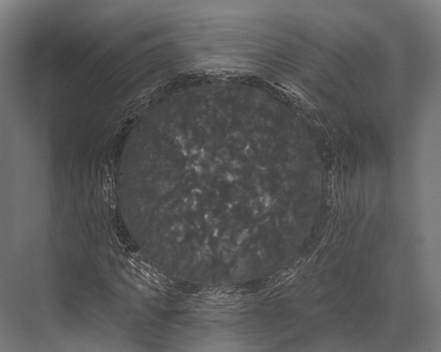 X0000076060917200610061532