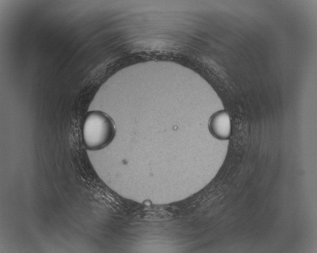 X0000076060918200610061532