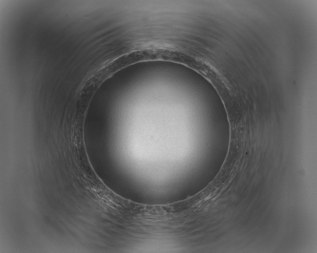 X0000076060919200610061532