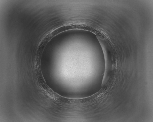 X0000076060920200610061532