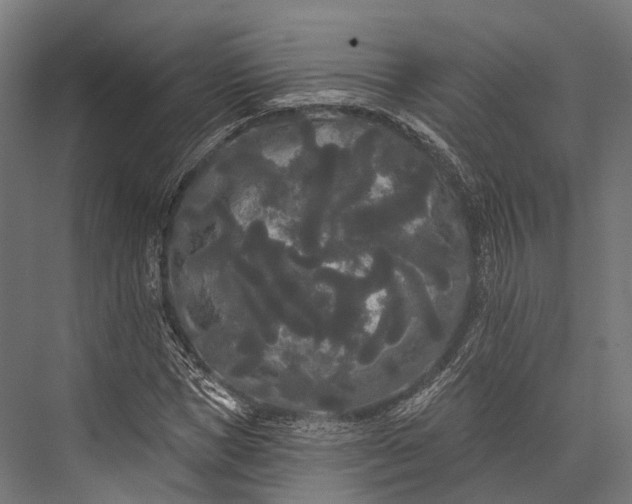 X0000076060921200610061532