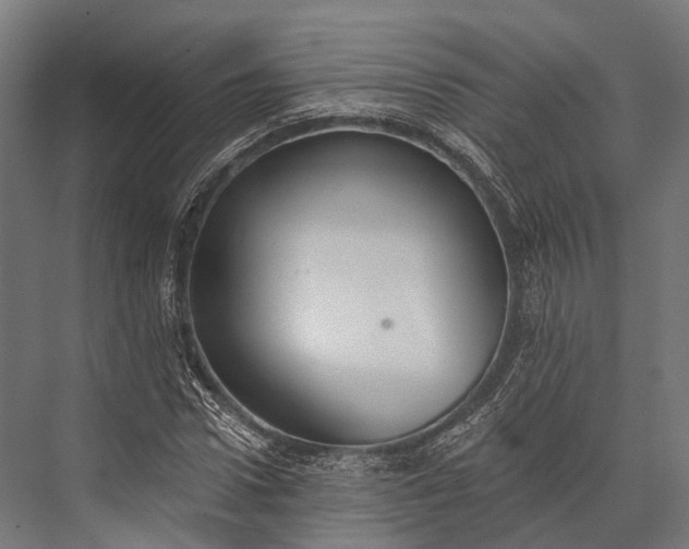 X0000076060922200610061532