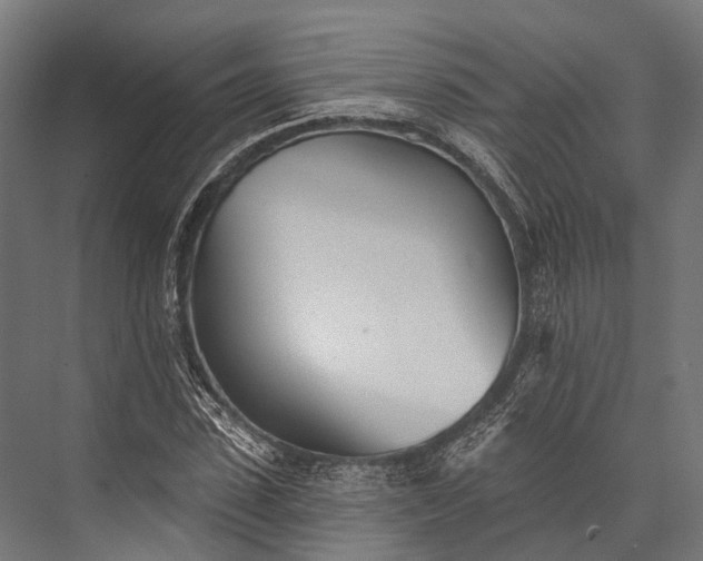 X0000076060923200610061532