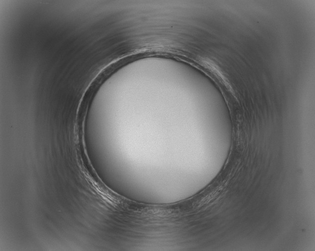 X0000076060924200610061532