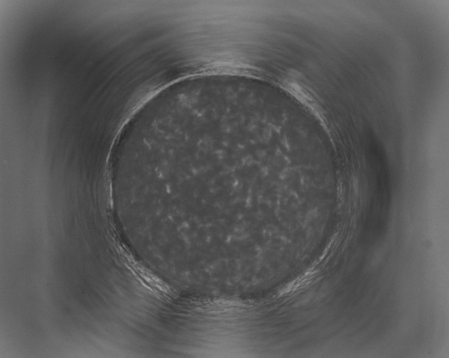 X0000076060925200610061532